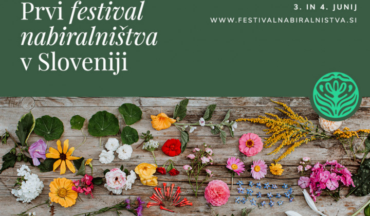 Prvi konec tedna v juniju po vsej Sloveniji nabiralniške delavnice. (foto: festivalnabiralnistva.si)