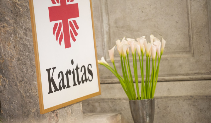 Slovenska karitas (foto: STA / Boštjan Podlogar)