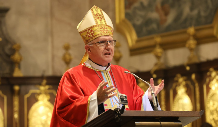 Ljubljanski nadškof Stanislav Zore (foto: Vatican News)