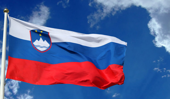 Slovenska zastava (foto: gov.si)