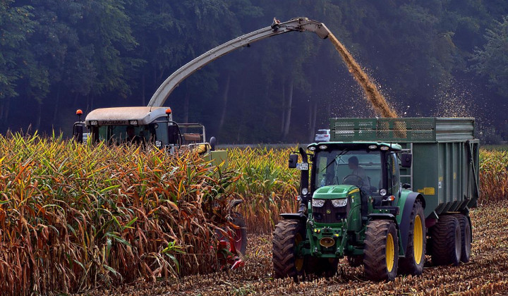 Kmetijstvo, siliranje (foto: pixabay)