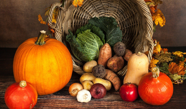 Jesen je bogata s plodovi, pridelki in barvami (foto: Sabrina Ripke / Pixabay)