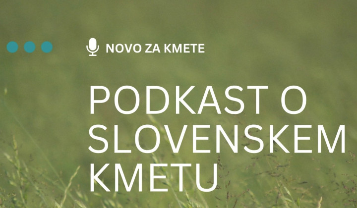 Podcast RAST (foto: ARO)