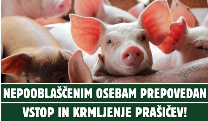 Biovarnost je najpomembnejša Biovarnost je najpomembnejša (foto: Uprava za varno hrano, veterinarstvo in varstvo rastlin)